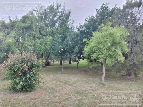 Imagen 15 de 22 de Campo Mixto En Venta En Chivilcoy 60 % Agrícola - Armado