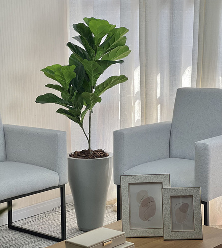 Árvore Ficus Lyrata Permanente Toque Real Vaso Coluna 1,35cm