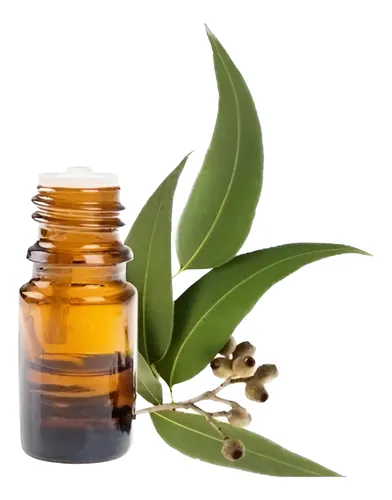 Aceite Esencial De Eucalipto 100ml Puro, Natural Y Refresc