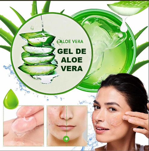 Gel De Aloe Vera Puro 100% 100grs En Caba Flores
