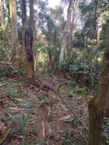 Imagem 5 de 13 de B26- Corra E Garanta Seu Terreno