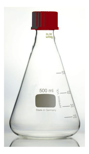 Erlenmeyer De Vidrio 250ml