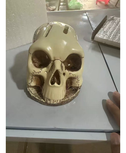 Portacuchillos Genérico Con Forma De Calavera Para Cocina