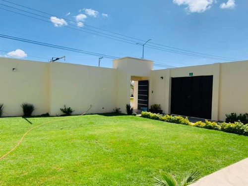 Local Comercial En Renta En Los Arcos, Irapuato, Guanajuato