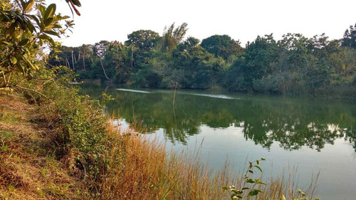 Venta Terreno 5000 M2 Frente Al Estero De Juana Moza Tuxpan Veracruz