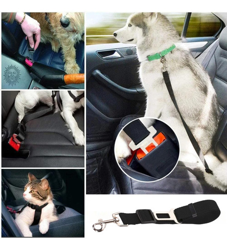 Correa De Mascotas Para Auto / Cinturón De Seguridad Perros Color Paquete 1