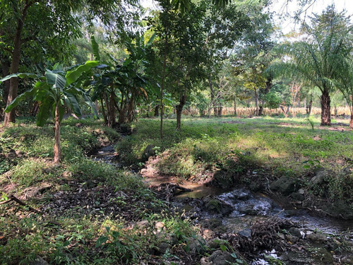 Terreno Campestre Con Servicios Zona Libramiento Sur Nuevo