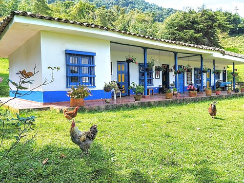 La Paz, 33 Hectàreas, Finca En Venta