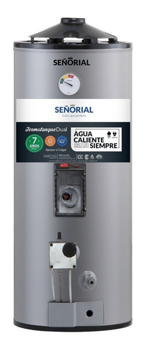 Termotanque Señorial Dual Eléctrico/gas Tgep-50 Gris 50 L