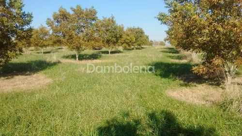 Imagen 14 de 25 de Terreno En Venta O Permuta Ubicado En Punta Indio, Resto De La Provincia
