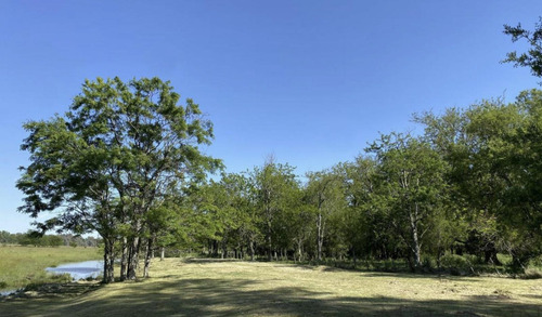 Venta - Lote Interno - Estancia Carabassa | Vco Propiedades