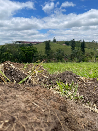 Imagem 13 de 24 de M01- Oportunidade De Ter Sua Casa No Campo