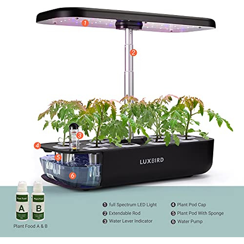 Sistema De Cultivo Hidropónico, Kit De Inicio De Jardã...