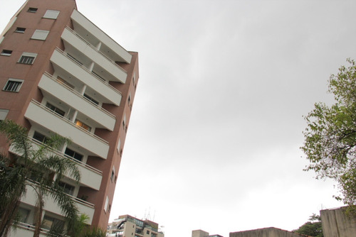 Imagem 12 de 30 de Apartamento - Ap00491 - 70281626