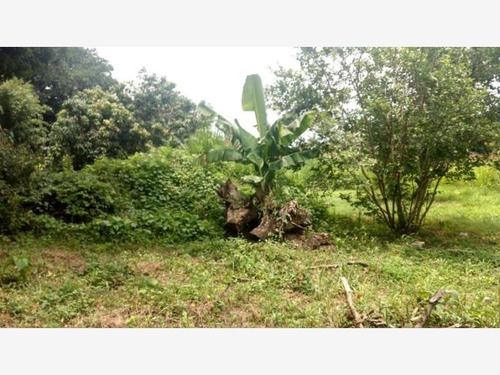 Imagen 10 de 12 de Terreno En Venta Ixtlahuacan