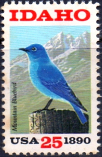 23785  .......... Estados Unidos - Pássaro Mountain Bluebird