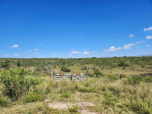 Venta Campo 9 1/4 Hectáreas- Villla Parque Siquiman (punilla).