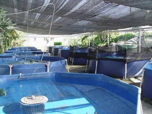 Malla Sombra Raschel Negra Rollo 70% 4.20x15 Mts