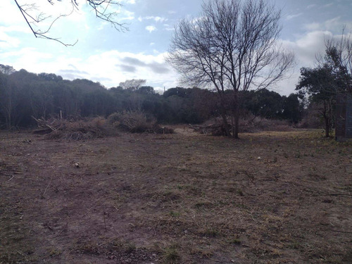 Imagen 9 de 12 de Venta Campo 6 Has - Villa Esquiu