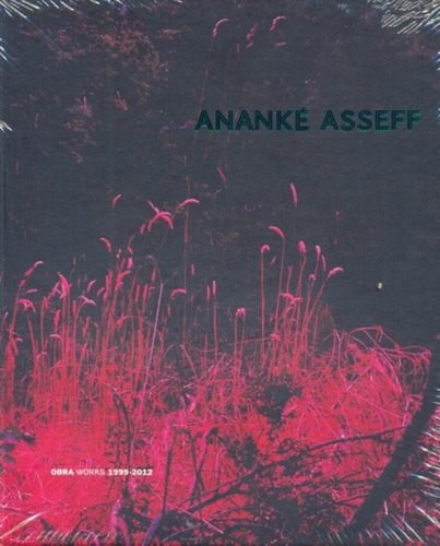 Ananké Asseff Abra Works 1999-2012, De Ananke Asseff. Editorial Ediciones Lariviere, Tapa Blanda, Edición 1 En Español