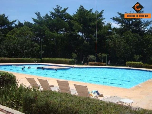Imagem 10 de 15 de Lote No Alphaville Litoral Norte I - Te00395 - 68970626