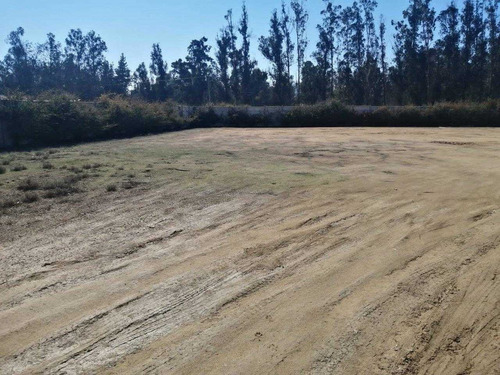 Terreno De 5000 M2 En Arriendo Al Lado De La Ruta 1 - 300