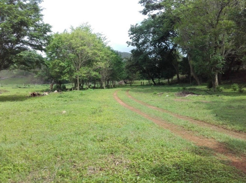 Granja Avicola Ganadera Minera Tinaquillo, Negociable