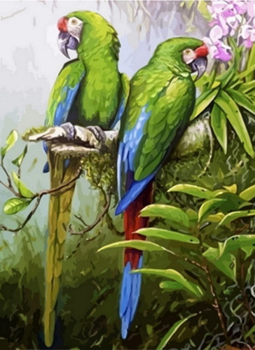 Imagem 1 de 6 de Pintura Numerada Araras Tropicais_p2