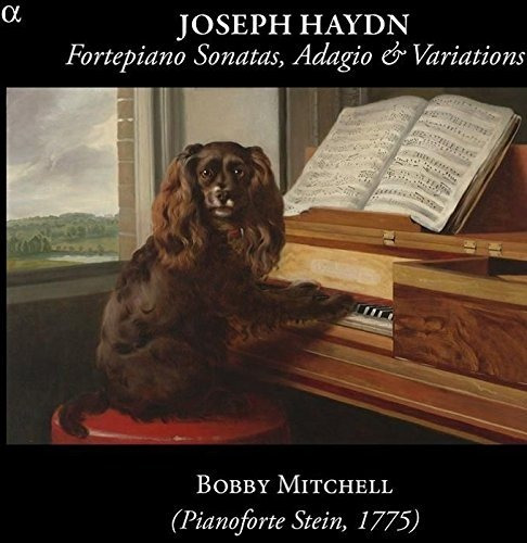 Haydn / Mitchell Fortepiano Sons Adagio & Variations Cd