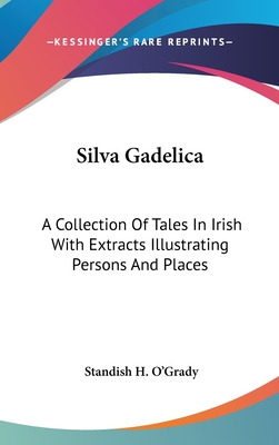 Libro Silva Gadelica: A Collection Of Tales In Irish With...