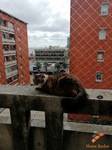 Imagen 4 de 9 de Redes Protección Seguridad Niños Balcones Ventanas Terrazas