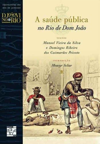 A Saude Publica No Rio De Dom Joao - 1ªed.(2008), De Domingos Ribeiro Dos Guimaraes Peixoto. Editora Senac, Capa Mole, Edição 1 Em Português, 2008