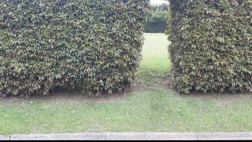 Lote En Venta En Rionegro. Cod V11366