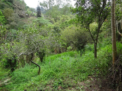 Imagem 12 de 15 de Chácara Para Venda Em Arujá, Parque Dos Jacarandas, 3 Dormitórios, 2 Banheiros, 8 Vagas - Ch0001_1-2162644