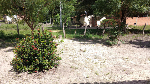 Terreno Com Casa Pequena