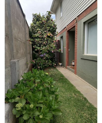 Casa En Condominio Los Almendros Reñaca 4 Dormitorios