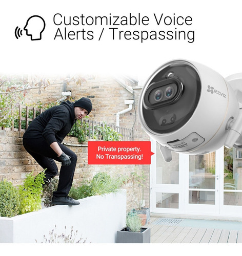 Imagen 7 de 10 de Camara Ip Ezviz Cv310 C3x 1080p Wifi Audio Alarma Color 24hs