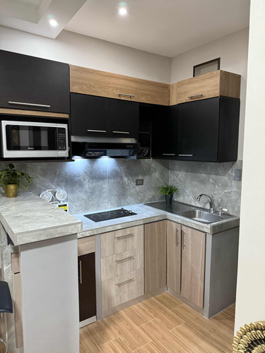 Apartamento En Alquiler Nuevo 1 Habitación Desamparados