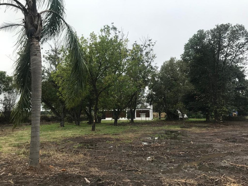 Imagen 23 de 30 de Terreno - Ibarlucea