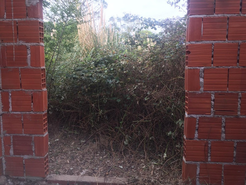 Imagen 6 de 8 de Exelente Terreno Con Mejoras