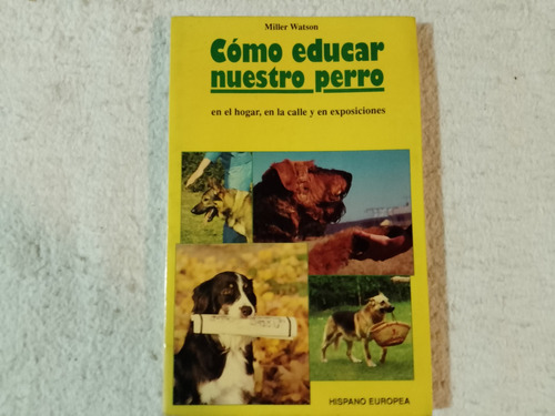 Cómo Educar Nuestro Perro En El Hogar La Calle Exposiciones 