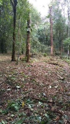 Terreno De Chácara Em Itanhaém Com Contrato 7016