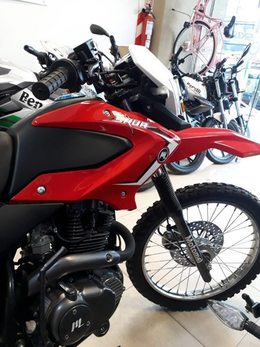 Imagen 11 de 16 de Motomel Skua 250 Cc - Mejor Contado - Financiacion! Créditos