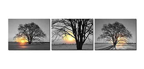 3 Piezas De Arte De Pared De Árbol Blanco Y Negro.