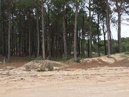 Imagen 7 de 8 de Lotes Continuos En Pinamar Norte A 500 Mts Del Mar