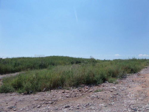 Imagen 5 de 5 de Terreno En Venta En Quintas Carolinas