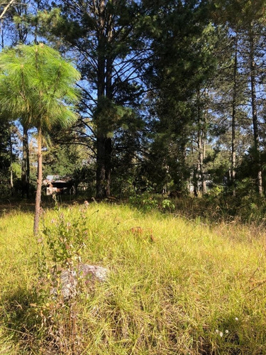 Imagen 6 de 12 de Venta De Terrenos En Amealco De Bonfil, Querétaro
