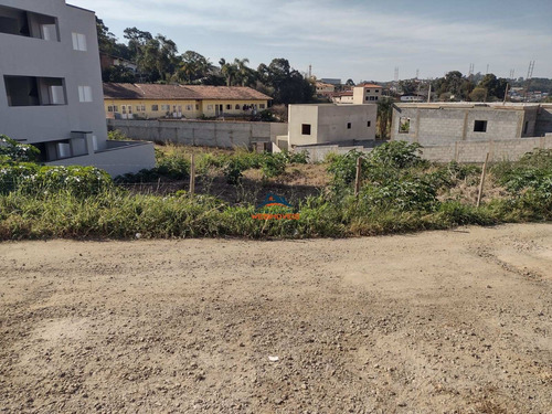 Imagem 3 de 4 de Terreno - Te00072 - 69954626