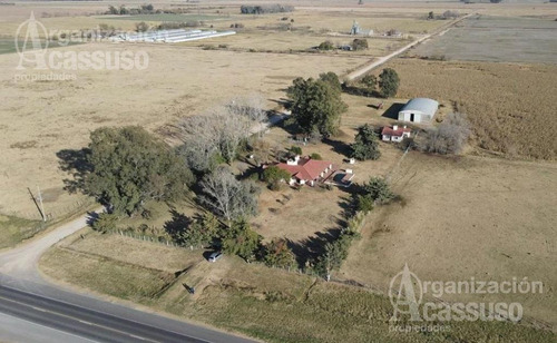 Imagen 15 de 17 de Chacra - Carmen De Areco