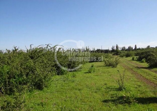 Terreno Construccion En Venta En Cabrero Bulnes Chamavida Yu